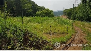 상주서 벌초 나선 60대, 전기울타리에 감전사