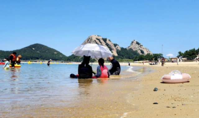 사진은 기사 내용과 무관함. 뉴스1