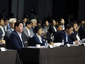 최태원 "글로벌 경쟁에서 이길 소버린 AI 만들어야"