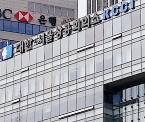 "배임죄, 35년 전 처벌기준 유지…형량 구성요건도 모호"