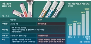'효과 우위' 마운자로·'적응증 다양' 위고비…비만치료제 경쟁 막 올라