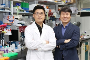 KAIST, 고령 우울증 환자에 항우울제 통하지 않는 이유 규명