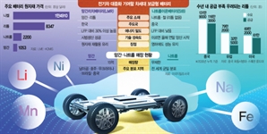 매장량 풍부한 망간·나트륨…차세대 배터리 소재로 뜬다
