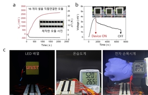 열갈바닉 전지가 뭐길래…체온만으로 전자기기 켜는 기술 나왔다