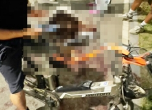 "살쪄서 운동"…전기자전거에 개 매달고 죽을 때까지 달린 견주