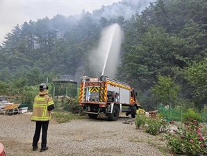 “말벌집 태우다 산불로”…삼척 야산 33㏊ 불타고 15시간 만에 진화
