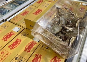 "지난주 꽃게 못 샀다면 '여기'로"… 마트, 꽃게 최저가 경쟁