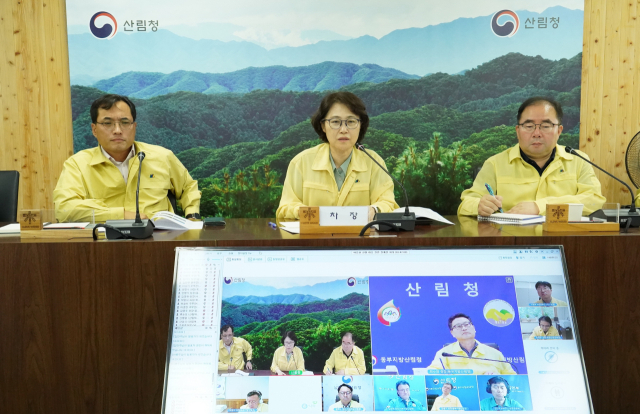 이미라(왼쪽 두번째) 산림청 차장이 정부대전청사에서 여름철 산불 대응을 위한 관계관회의를 주재하고 있다. 사진제공=산림청