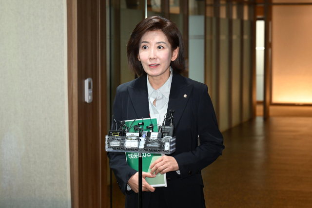 나경원 국민의힘 의원. 서울경제DB
