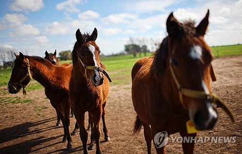 로이터연합뉴스