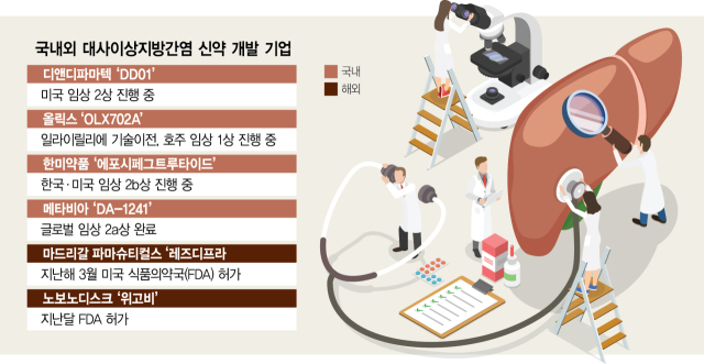 美MASH 임상 대폭 완화…국산 신약 청신호