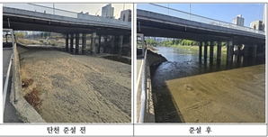 '민선 8기 들어 성남 탄천이 달라졌다'