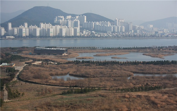 낙동강 하구 철새도래지 전경. 사진제공=부산시 낙동강관리본부