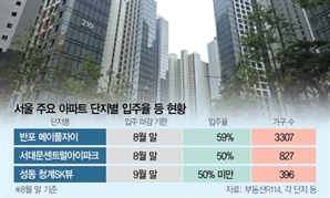 '전세 대출 규제' 여파 서울 입주율 50%대 그쳐[집슐랭]