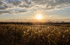 부산 다대포 해변서 ‘슈퍼어싱·나이트뮤직 캠크닉’ 열린다