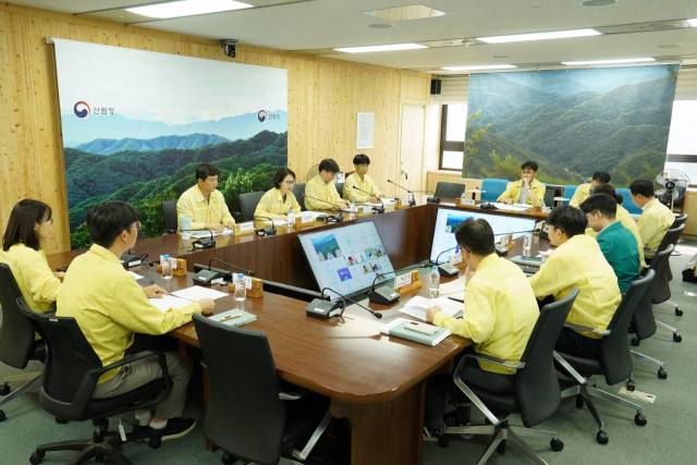 이미라 산림청 차장이 정부대전청사에서 산림분야 재난안전사고 예방을 위한 관계기관 회의를 주재하고 있다. 사진제공=산림청