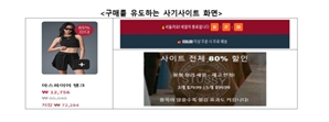 “인스타 광고 타고 들어갔다가…알로·스투시 가짜몰 피해 속출”