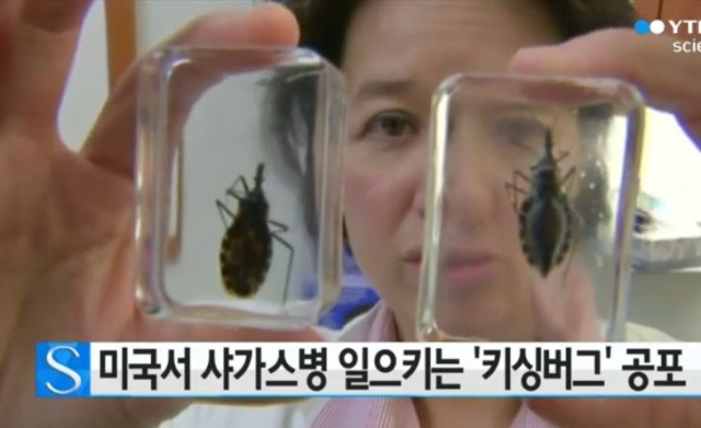 잠든 사이 '이 벌레'가 뽀뽀하면 걸린다…'침묵의 살인자'라는 이 병, 뭐길래?