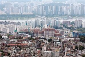 기사제목