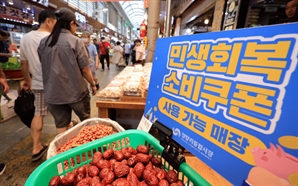 2차 소비쿠폰 지급 기준 12일 발표…소득 상위 10%는 제외