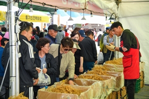인삼 체험부터 풍년놀이 한마당까지…올가을 영주서 ‘쉼’ 충전