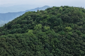 기사제목