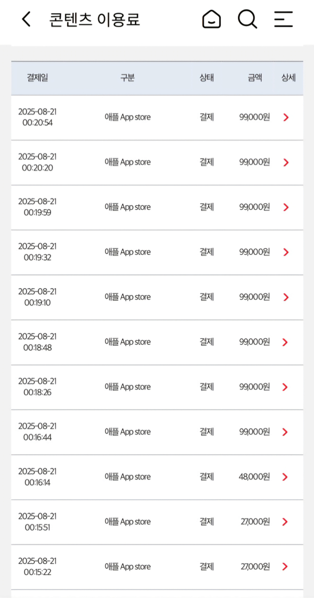 서모씨가 지난달 애플 계정 탈취로 결제 피해를 당한 사례. 서모씨 제공