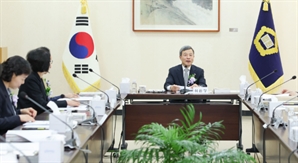 보이스피싱·환치기·해외도피…양형위, 자금세탁 처벌 기준 확정