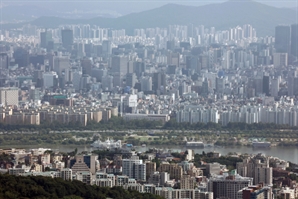 대출 조이자 크기 줄여 '상급지 입성'…개포·역삼·목동 소형아파트 신고가