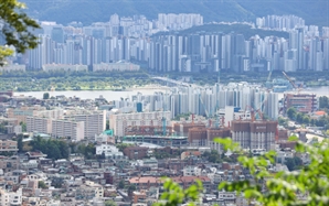 성동·마포 강세에 서울 아파트 가격 '껑충'[집슐랭]