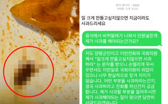 배달음식에서 바퀴벌레가 나와 식당에 항의하자 군의원이 민원인에 전화를 걸어 “일 크게 만들고 싶지 않으면 지금이라도 사과하라”는 문자메시지를 보냈다. JTBC ‘’사건반장' 갈무리