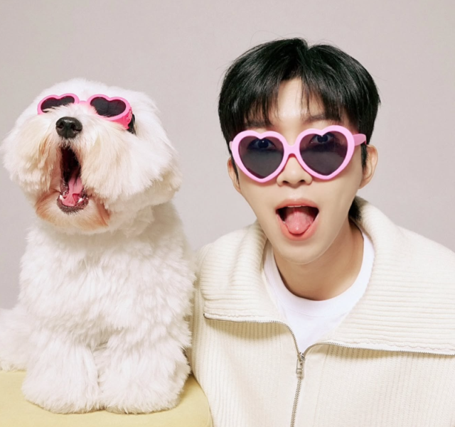 임영웅 사회관계망서비스(SNS)