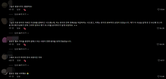 틱톡 갈무리