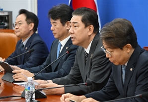 野 "李 대장동 연루 '형법상 배임죄' 폐지는 곤란"