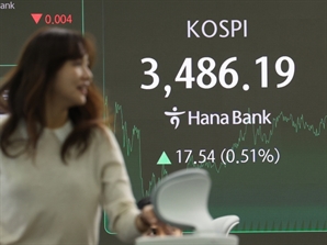 대형주가 이끈 불장 랠리에…개별 종목은 '찬바람'