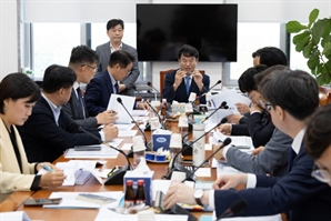 '한덕수·최상목' 겨눈 증언감정법, 운영위 소위 통과
