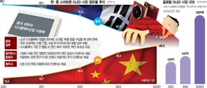 "K디스플레이, 中 기술굴기 희생양 될 수도"…삼성·LG, 세액공제 제도 손질 요구