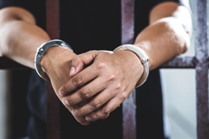 "사람한테 소처럼 쟁기 매달아 끌고"…29년간 지적장애 이웃 밭일 시킨 70대 구속