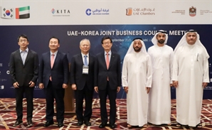 "한국은 UAE 발전의 최적 파트너"…한·UAE 경제협력위원회 발족