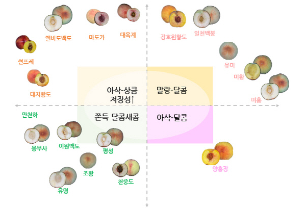 사진=농촌진흥청 제공