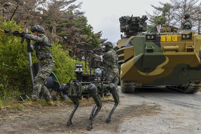 해병대 1사단 전투실험대대가 경북 포항 정천리 훈련장에서 다족보행로봇을 활용한 위험지역 작전 간 정찰임무를 수행하고 있다. 사진 제공=해병대1사단