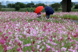 주말 동안 전국 비 소식…다음 주엔 맑은 '가을 날씨'