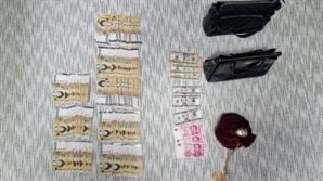 "돈 없어요"…세금 1200만원 체납한 외국인, 알고보니 명품가방에 현금까지