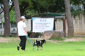 "애는 안 낳고 강아지 키워요" 이런 MZ 부부 많더니 결국…아파트까지 바꿨다는데