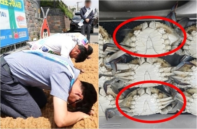 엎드려 사과하는 소래포구 상인들(왼쪽)과 다리 없는 꽃게. 연합뉴스, SNS 갈무리