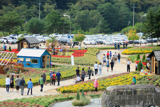 27일 강원도 인제군 북면 용대리에서 ‘인제 가을꽃축제’가 개막해 관광객들이 꽃길을 거닐며 가을 정취를 만끽하고 있다. 사진 제공=인제군