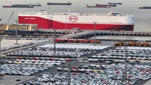 해외 판매 늘리려 전용 운반선까지…BYD 올 해외판매 비중 20%