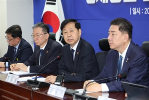 [속보] 김병기 "민주당·정부, 배임죄 폐지 기본방향으로 정해"