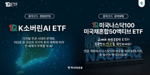 하나자산운용, 국내 최초 K소버린AI ETF 상장…네이버·카카오에 집중 투자