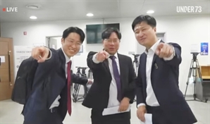 "국민 '입틀막' 하나"…'깜깜이 관세 협상' 직격한 친한계